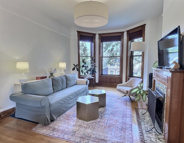 2680 N Burling St Unit 3S, Chicago, IL 60614 - living room featuring a fireplace with flush hearth and wood finished floors