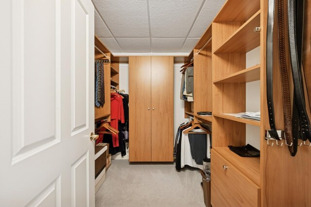 415 E N Water St Unit 806, Chicago, IL 60611 - spacious closet featuring carpet floors