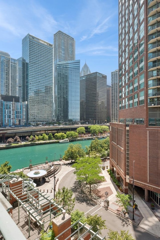 415 E N Water St Unit 806, Chicago, IL 60611 - view of home's community with a skyline view and a water view