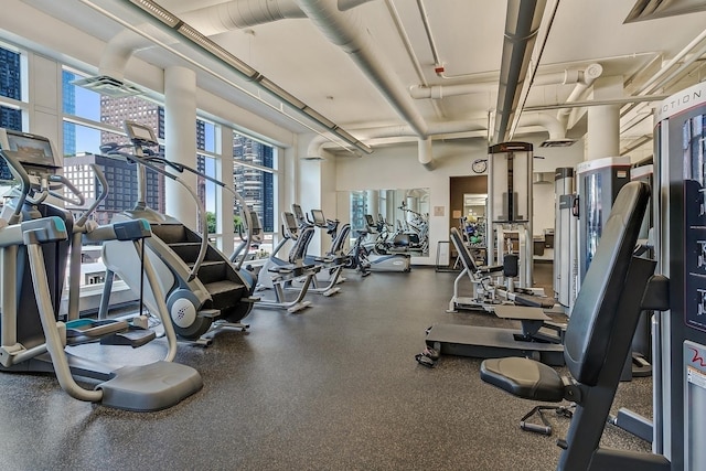 415 E N Water St Unit 806, Chicago, IL 60611 - gym with plenty of natural light