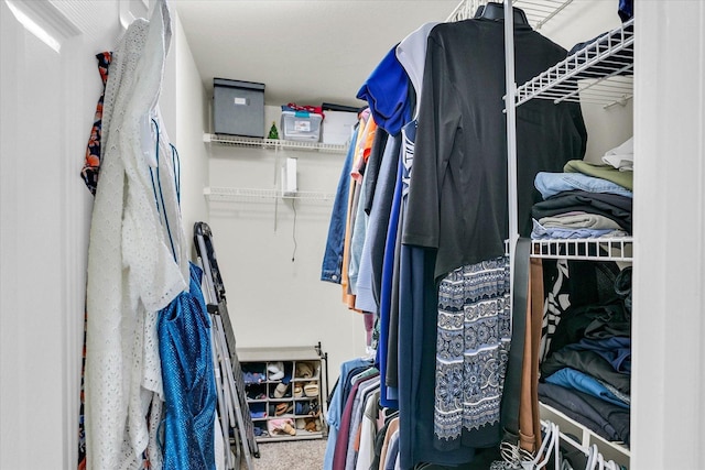 1707 Lydia Ct, Urbana, IL 61802 - view of walk in closet