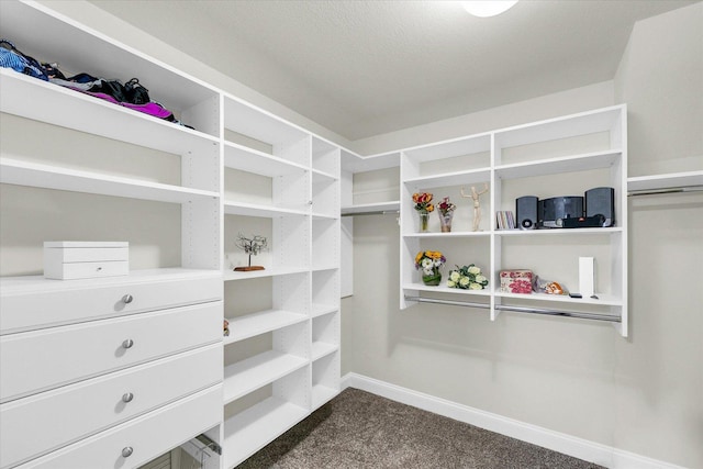 1707 Lydia Ct, Urbana, IL 61802 - walk in closet with dark carpet