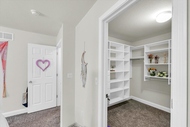 1707 Lydia Ct, Urbana, IL 61802 - walk in closet with dark carpet