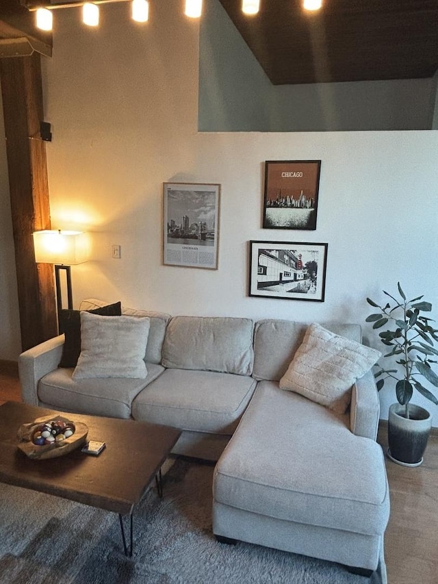 2510 N Wayne Ave Unit 203, Chicago, IL 60614 - living room featuring wood finished floors