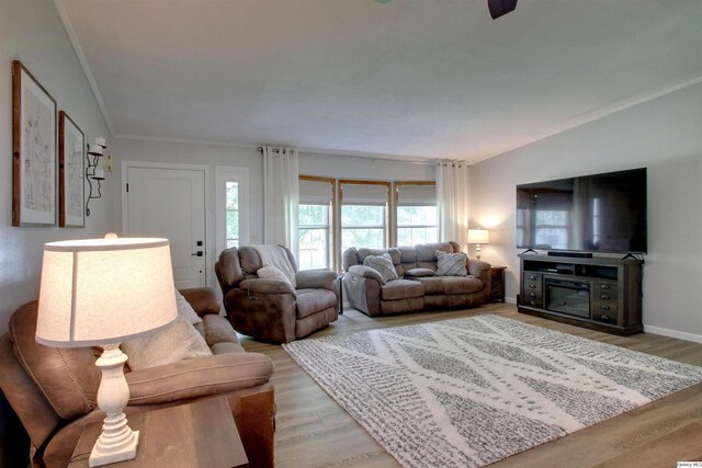 701 Dudley St, Liberty, IL 62347 - living area with light wood-style flooring and crown molding