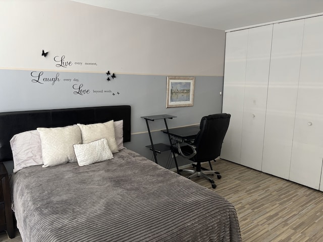 1450 E 55th Pl Unit 927S, Chicago, IL 60615 - bedroom featuring wood finished floors and a closet