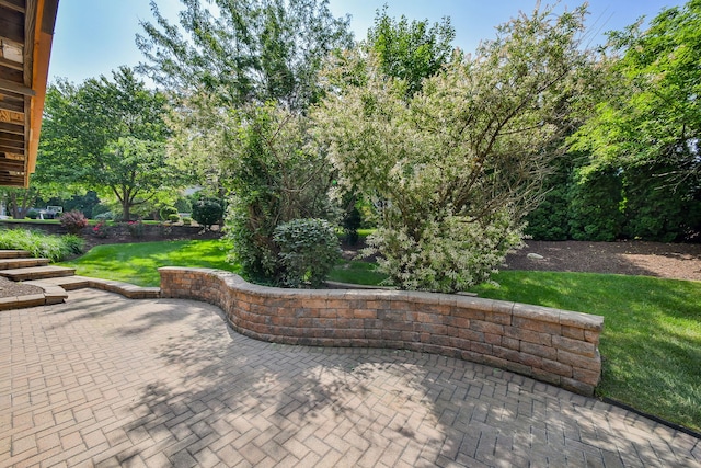 624 Pottawatomie Trl, Batavia, IL 60510 - view of patio