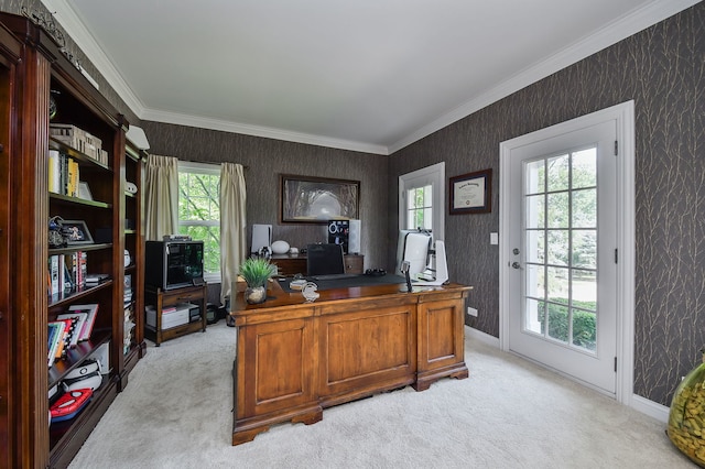 624 Pottawatomie Trl, Batavia, IL 60510 - office space featuring light carpet, healthy amount of natural light, wallpapered walls, and crown molding