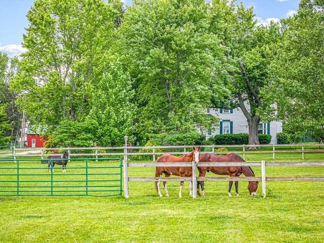 466 Quail Trap Rd, Caledonia, IL 61011 - view of yard