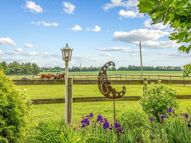 466 Quail Trap Rd, Caledonia, IL 61011 - view of yard featuring a view of rural / pastoral area