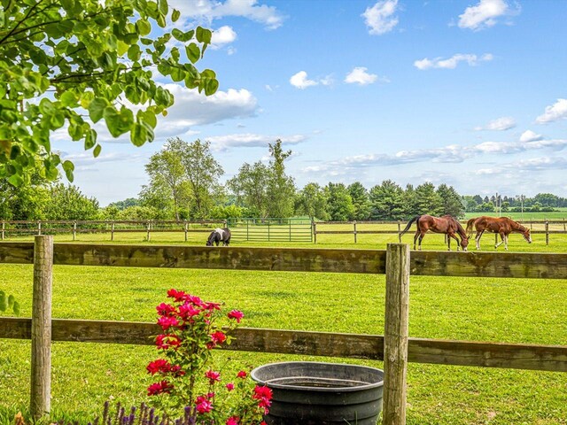 466 Quail Trap Rd, Caledonia, IL 61011 - view of yard with a rural view
