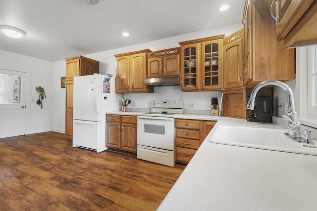 466 Quail Trap Rd, Caledonia, IL 61011 - kitchen featuring white appliances, under cabinet range hood, light countertops, glass insert cabinets, and dark wood-style flooring