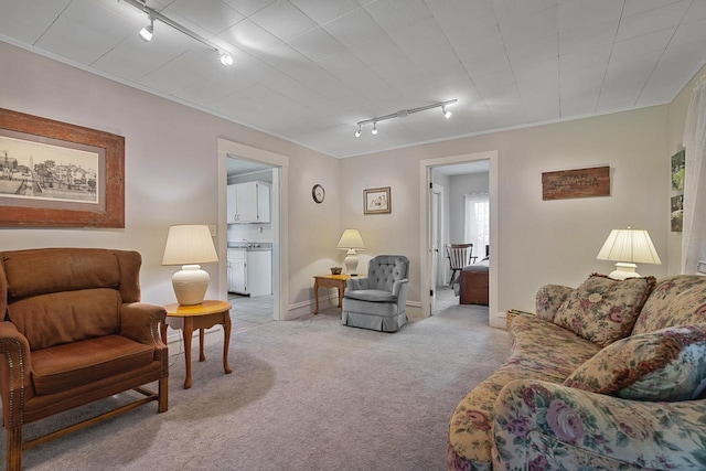 466 Quail Trap Rd, Caledonia, IL 61011 - carpeted living room featuring track lighting and crown molding