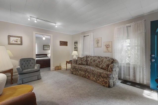 466 Quail Trap Rd, Caledonia, IL 61011 - carpeted living room with ornamental molding, ceiling fan, and rail lighting