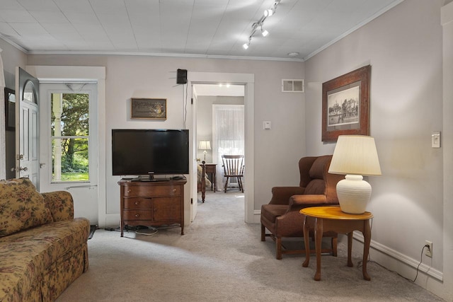 466 Quail Trap Rd, Caledonia, IL 61011 - carpeted living area featuring track lighting and ornamental molding