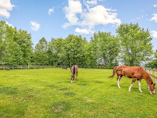 466 Quail Trap Rd, Caledonia, IL 61011 - view of yard featuring a rural view