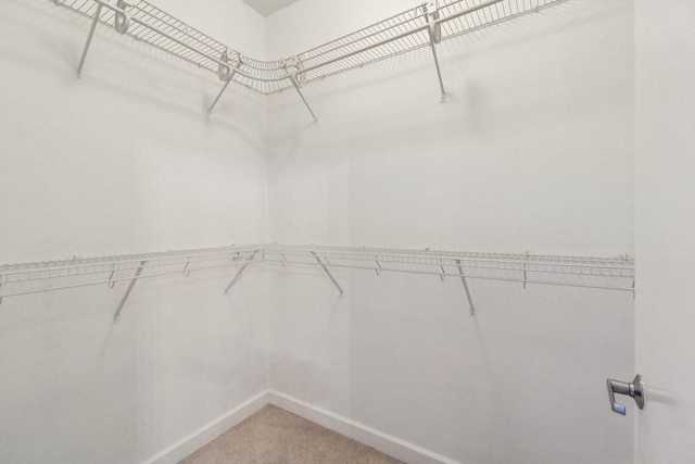 1841 S Calumet Ave Unit 1302, Chicago, IL 60616 - walk in closet featuring light carpet