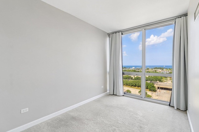 1841 S Calumet Ave Unit 1302, Chicago, IL 60616 - carpeted spare room featuring baseboards and floor to ceiling windows