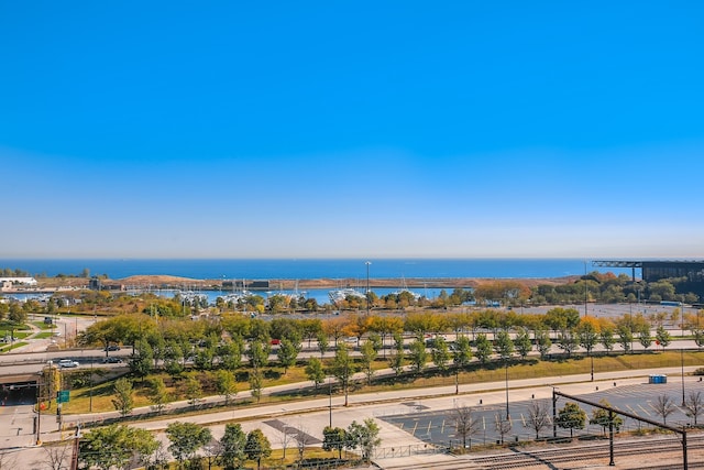 1841 S Calumet Ave Unit 1302, Chicago, IL 60616 - bird's eye view of a large body of water