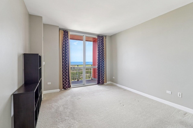 1841 S Calumet Ave Unit 1302, Chicago, IL 60616 - unfurnished room featuring light carpet and expansive windows