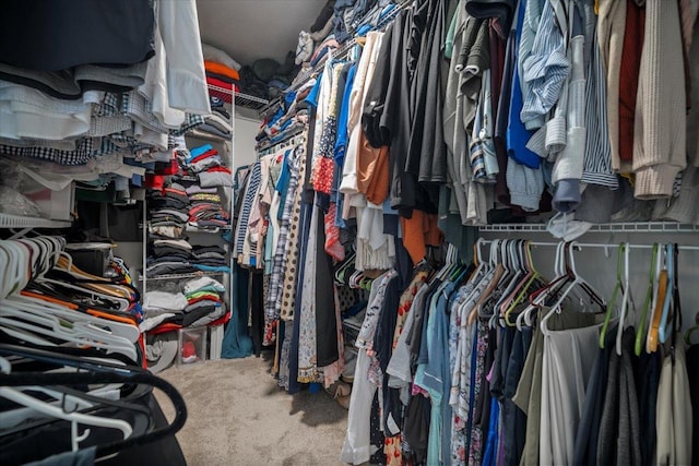 2321 Corrigan Way, Normal, IL 61761 - walk in closet with carpet