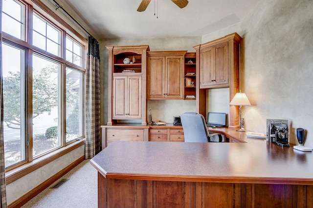 42720 N Converse Rd, Antioch, IL 60002 - office featuring healthy amount of natural light, a ceiling fan, and carpet