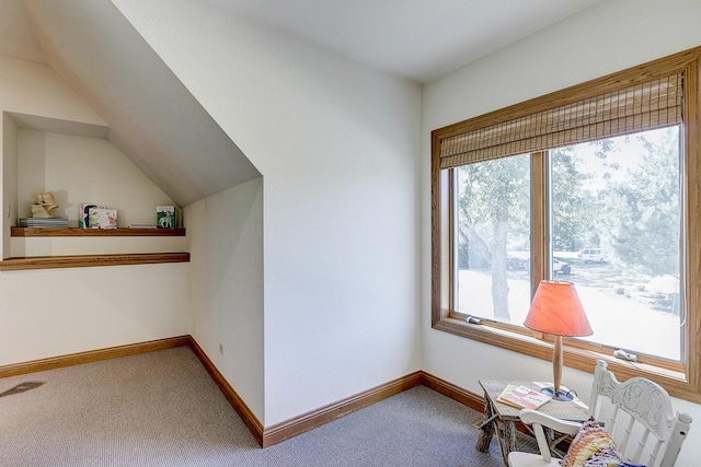 42720 N Converse Rd, Antioch, IL 60002 - sitting room featuring plenty of natural light, carpet flooring, and vaulted ceiling
