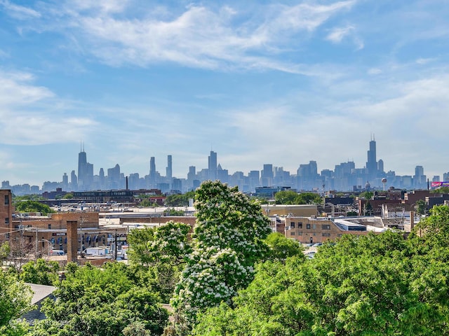 2707 W Belmont Ave Unit 4W, Chicago, IL 60618 - view of city skyline