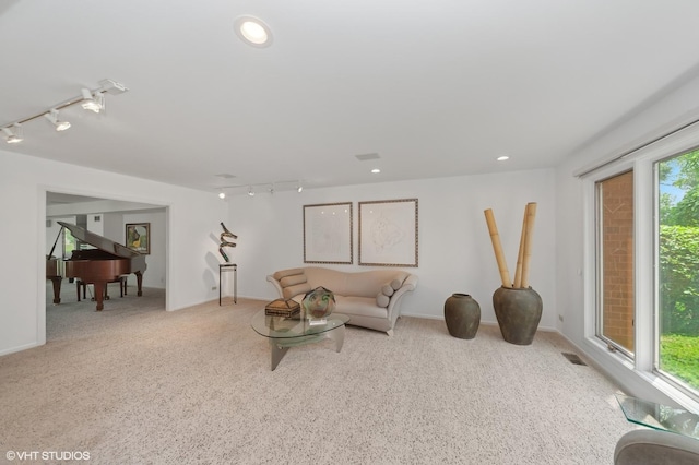 2741 Acacia Ter, Buffalo Grove, IL 60089 - living room with track lighting and carpet floors