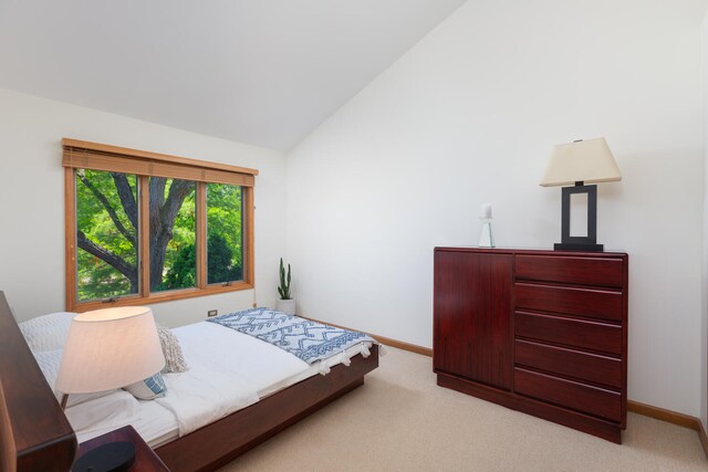 1124 Brighton Rd, Naperville, IL 60563 - photo 41
