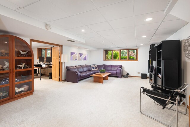 1124 Brighton Rd, Naperville, IL 60563 - photo 48
