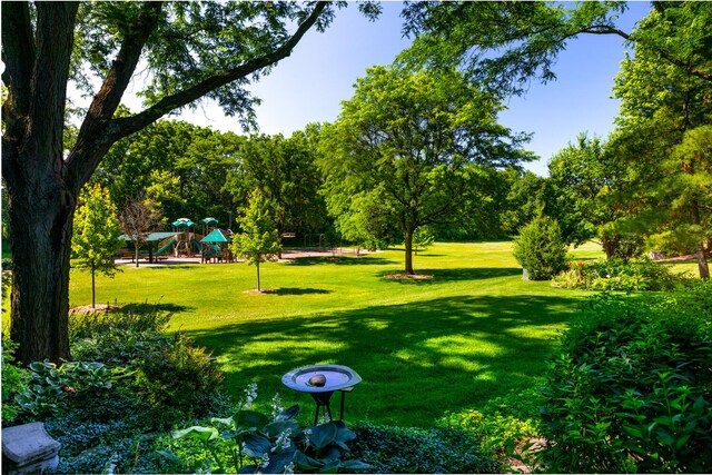 1124 Brighton Rd, Naperville, IL 60563 - photo 58