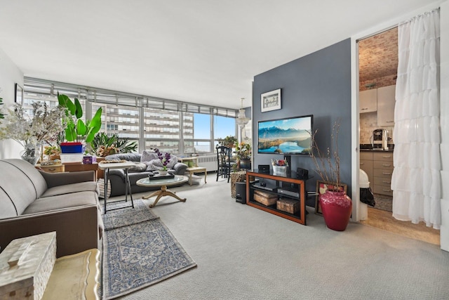 4800 S Chicago Beach Dr Unit 702S, Chicago, IL 60615 - living area featuring carpet