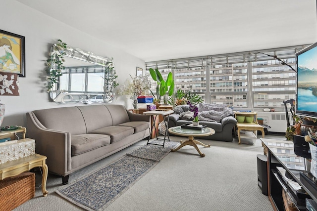 4800 S Chicago Beach Dr Unit 702S, Chicago, IL 60615 - living area with carpet flooring, plenty of natural light, and radiator heating unit