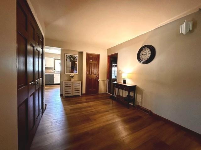 1700 Sunset Dr, Mendota, IL 61342 - hallway featuring radiator heating unit and dark wood finished floors