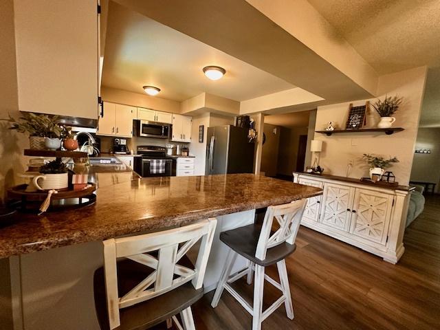 1700 Sunset Dr, Mendota, IL 61342 - kitchen featuring appliances with stainless steel finishes, a peninsula, dark wood finished floors, open shelves, and a breakfast bar area