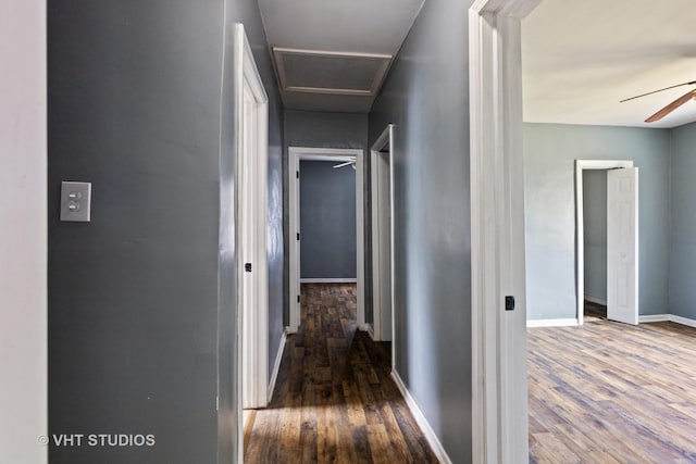32 W 109th Pl, Chicago, IL 60628 - hall with wood finished floors and baseboards