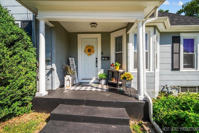 704 Cedar Ave, Saint Charles, IL 60174 - doorway to property with covered porch and a shingled roof