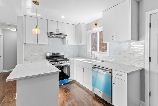 2947 S Farrell St, Chicago, IL 60608 - kitchen featuring stainless steel appliances, under cabinet range hood, white cabinets, dark wood-style floors, and tasteful backsplash