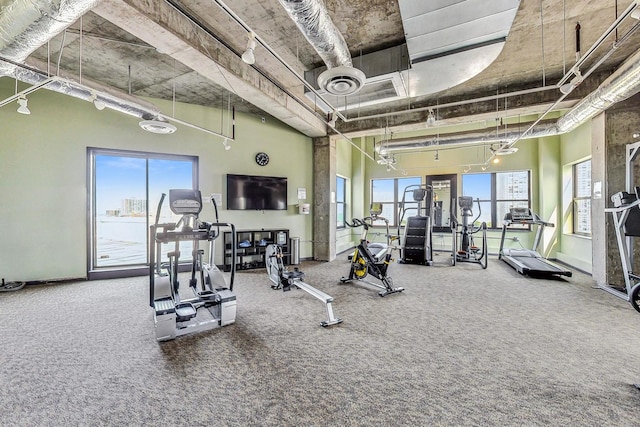 1122 W Catalpa Ave Unit 815, Chicago, IL 60640 - workout area featuring carpet flooring