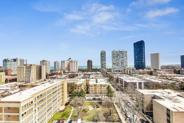 1122 W Catalpa Ave Unit 815, Chicago, IL 60640 - view of city