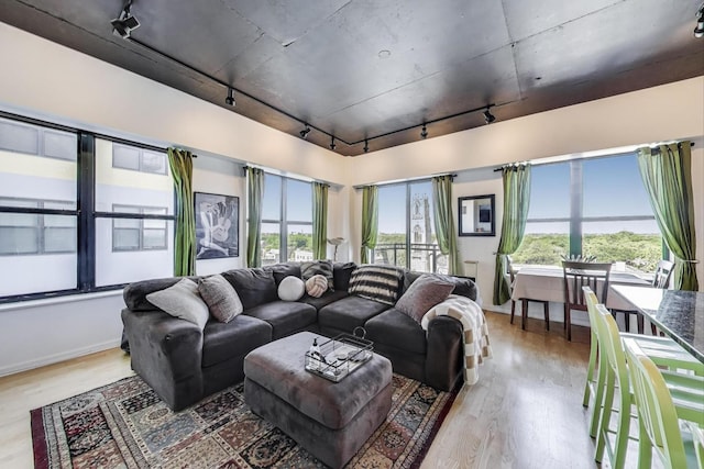 1122 W Catalpa Ave Unit 815, Chicago, IL 60640 - living area with rail lighting and wood finished floors