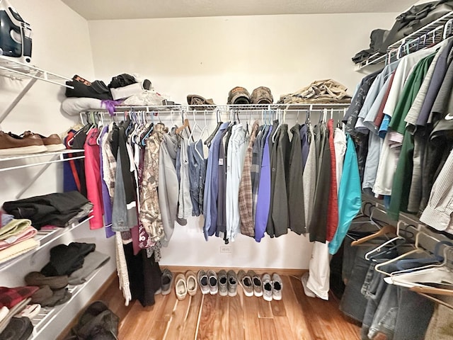 597 Barry Turn, Manteno, IL 60950 - walk in closet featuring wood finished floors