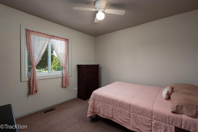 6665 Foxtree Ave, Woodridge, IL 60517 - bedroom with carpet floors and a ceiling fan