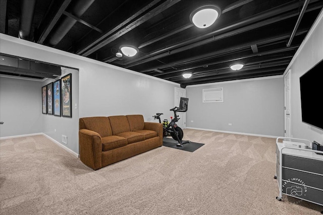 3210 Larrabee Dr, Geneva, IL 60134 - workout room featuring carpet