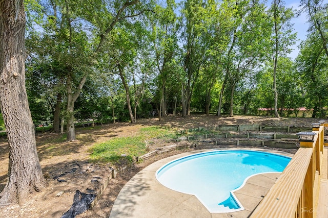 9704 Captains Dr, Algonquin, IL 60102 - swimming pool featuring view of scattered trees