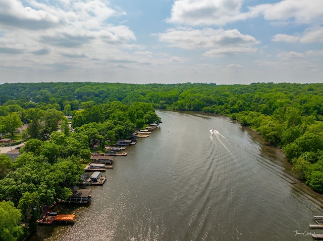 9704 Captains Dr, Algonquin, IL 60102 - drone / aerial view of a forest and a nearby body of water