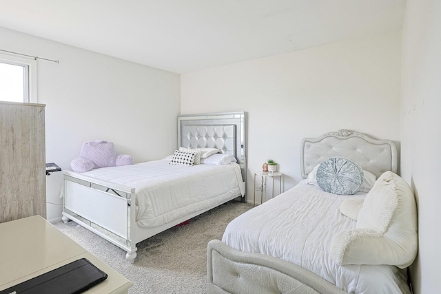 377 Grissom Ct, Hoffman Estates, IL 60169 - view of carpeted bedroom