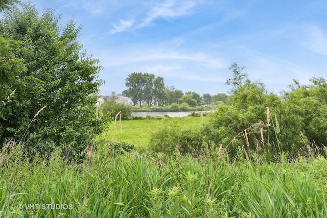 2582 Golf Ridge Cir, Naperville, IL 60563 - view of local wilderness featuring a nearby body of water