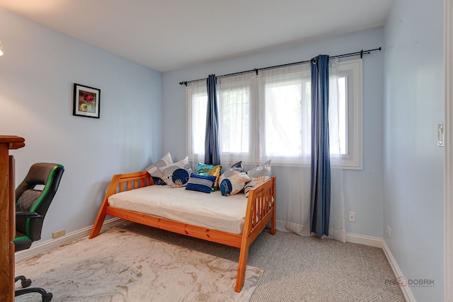 552 Arbor Gate Ln, Buffalo Grove, IL 60089 - bedroom featuring multiple windows and carpet floors